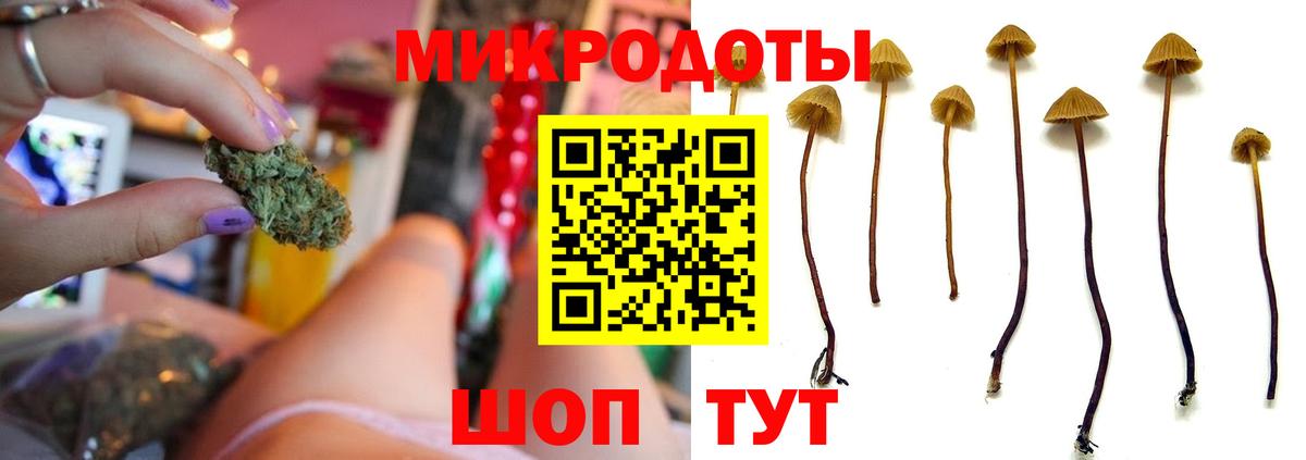 наркота  Псилоцибиновые грибы GOLDEN TEACHER  Вход с VPN  Курчатов  Галлюциногенные грибы мицелий 